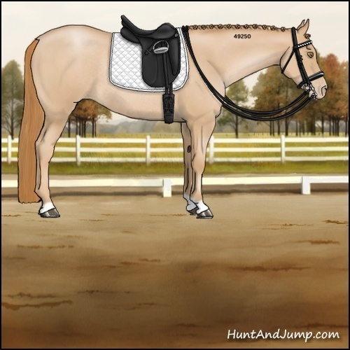 Horse Color:Red Roan Pearl Rabicano 