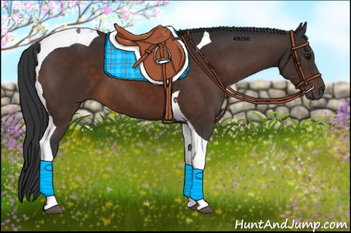 Horse Color:Brown Tobiano