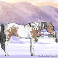 Horse Color:Bay Dun Tobiano 