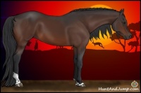 Horse Color:Brown Sabino Tobiano