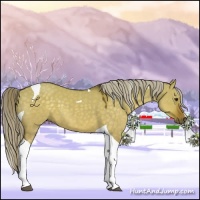 Horse Color:Chocolate Palomino Dun Tobiano 
