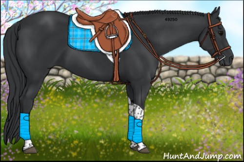 Horse Color:Black Tobiano 