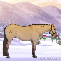 Horse Color:Bay Roan Dun Rabicano 