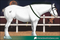 Horse Color:Liver Red Dun Roan Onyx Sabino Appaloosa Rabicano