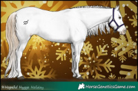 Horse Color:Liver Chestnut Appaloosa 