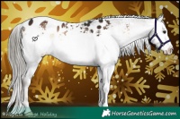 Horse Color:White Spotted Liver Red Onyx Mushroom Appaloosa 