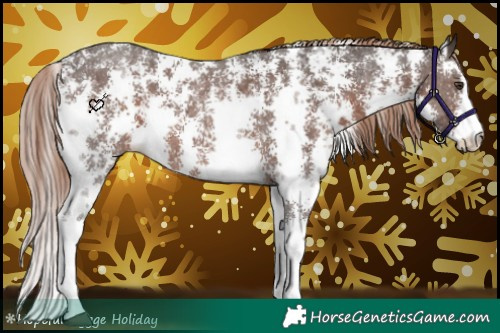 Horse Color:Liver Chestnut Sabino