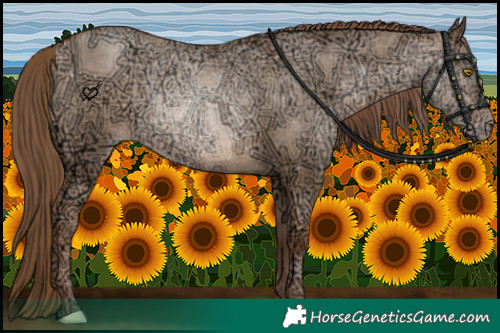 Horse Color:Brown Ice Pearl Dun 