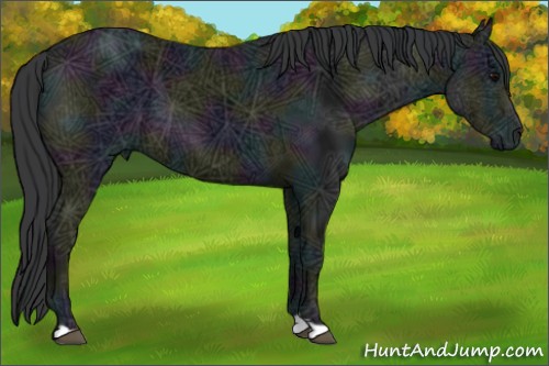 Horse Color:Midnight Black Ice 
