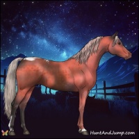 Horse Color:Silver Brown Tobiano 