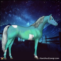 Horse Color:Watercolor Silver Brown Tobiano 