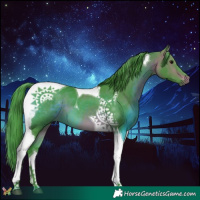 Horse Color:Watercolor Brown Tobiano 