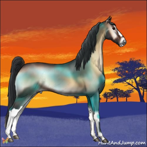 Horse Color:Bay Onyx 