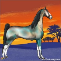 Horse Color:Bay Onyx