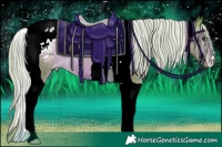 Horse Color:Watercolor Chocolate Palomino Tobiano Blanket 