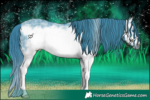 Horse Color:Watercolor Liver Chestnut Ice Sabino Splash Frame 