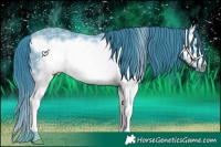 Horse Color:Watercolor Liver Chestnut Ice Sabino Splash Frame 