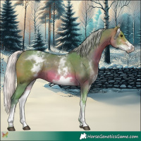 Horse Color:Watercolor White Spotted Silver Brown 
