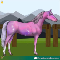 Horse Color:Watercolor White Spotted Silver Brown 