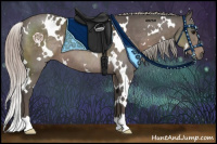 Horse Color:White Spotted Silver Black 