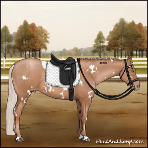 Horse Color:White Spotted Silver Brown Pearl 