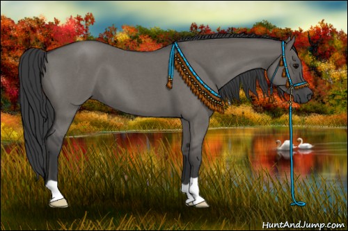 Horse Color:Grullo Roan 