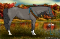 Horse Color:Grullo Roan 