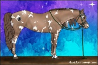 Horse Color:White Spotted Black Pearl 