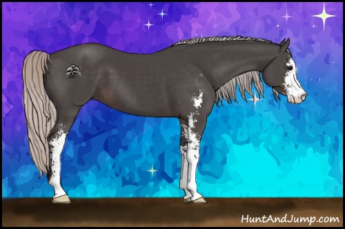 Horse Color:Silver Black Sabino 