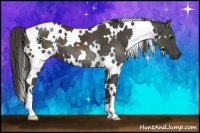 Horse Color:White Spotted Smoky Black 