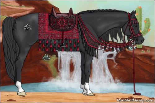 Horse Color:Black 