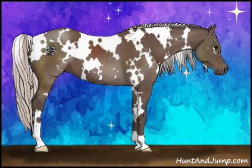 Horse Color:White Spotted Silver Black 