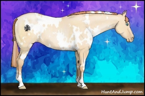 Horse Color:White Spotted Buckskin Pearl Dun 