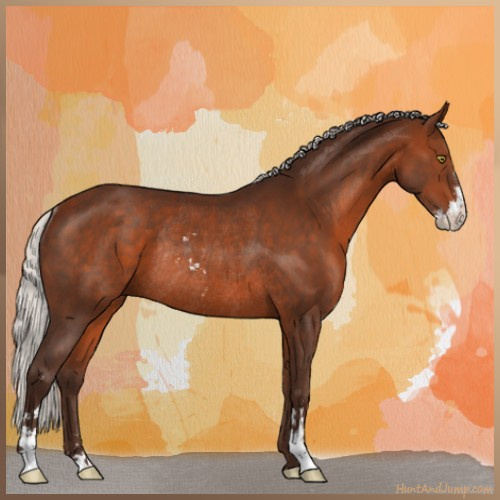 Horse Color:Silver Bay Sabino Rabicano