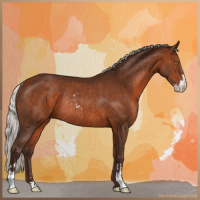 Horse Color:Silver Bay Sabino Rabicano 