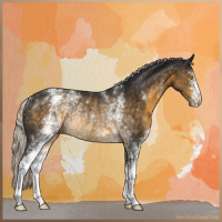 Horse Color:White Spotted Silver Buckskin Mushroom Rabicano