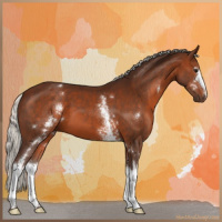 Horse Color:White Spotted Silver Brown