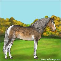 Horse Color:White Spotted Silver Buckskin Tobiano