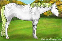 Horse Color:Painted Silver Brown Chinchilla Onyx Splash Tobiano 