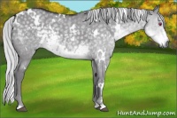 Horse Color:White Spotted Silver Smoky Grullo Chinchilla 