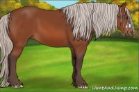 Horse Color:Silver Brown 