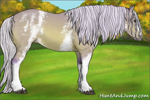 Horse Color:Watercolor White Spotted Silver Buckskin 