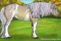 Horse Color:Watercolor White Spotted Silver Buckskin 