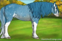 Horse Color:Watercolor Brown Sabino Splash