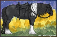 Horse Color:Black Tobiano Rabicano