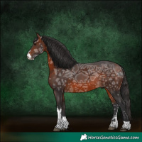 Horse Color:Brown Ice Sabino Rabicano 
