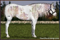 Horse Color:Nacre Brown Ice Splash Tobiano 