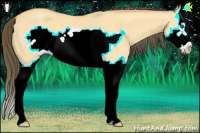 Horse Color:Amber Cream Champagne Dun Splash Frame