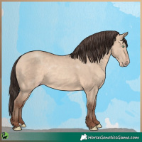 Horse Color:Sable Champagne Dun Rabicano
