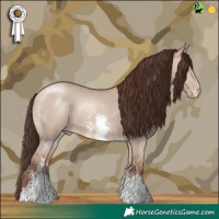 Horse Color:Amber Champagne Dun Sabino Rabicano